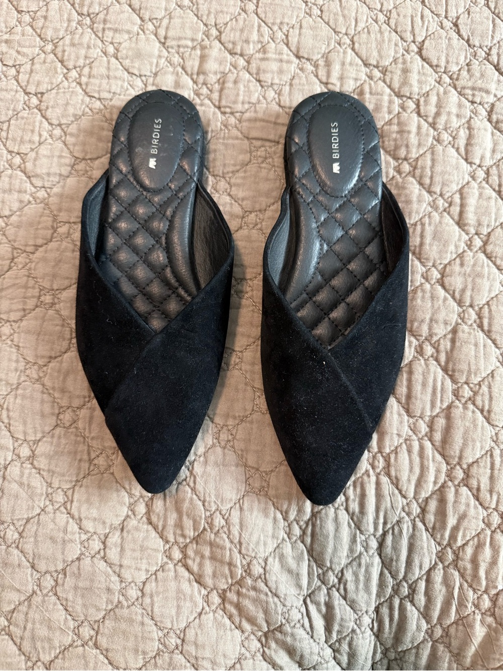 Birdies Black Suede Pointed Mule Flats